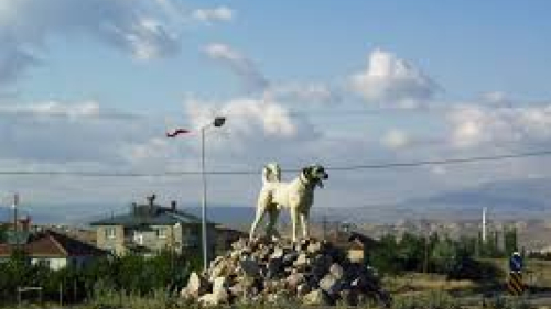 Kangal Medyum Hizmetleri | Sivas Kangal Gerçek Medyum  ve Kangal Güvenilir Medyum İnal Hoca